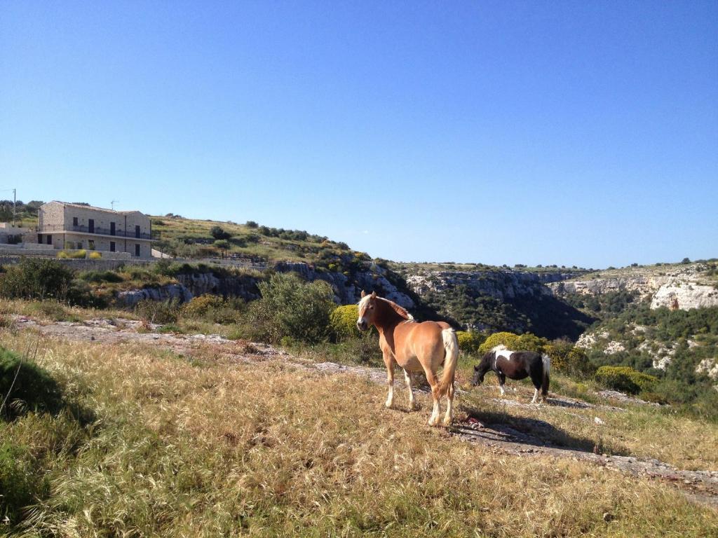 Casa Al Castello Guest House Ragusa Exterior photo